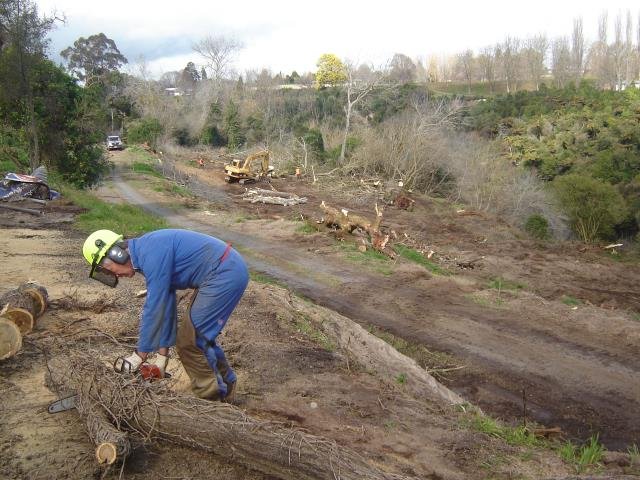 LSP- the beginning, 2008-11 Cambridge Tree Trust